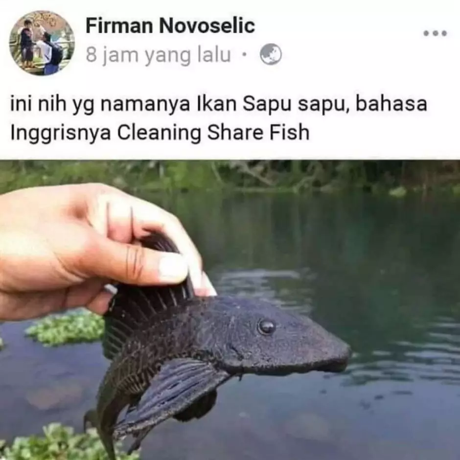 status lucu fb hewan © 2021 Instagram status lucu fb hewan © 2021 Instagram
