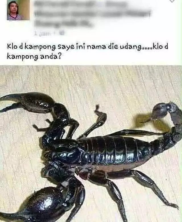 status lucu fb hewan © 2021 Instagram status lucu fb hewan © 2021 Instagram