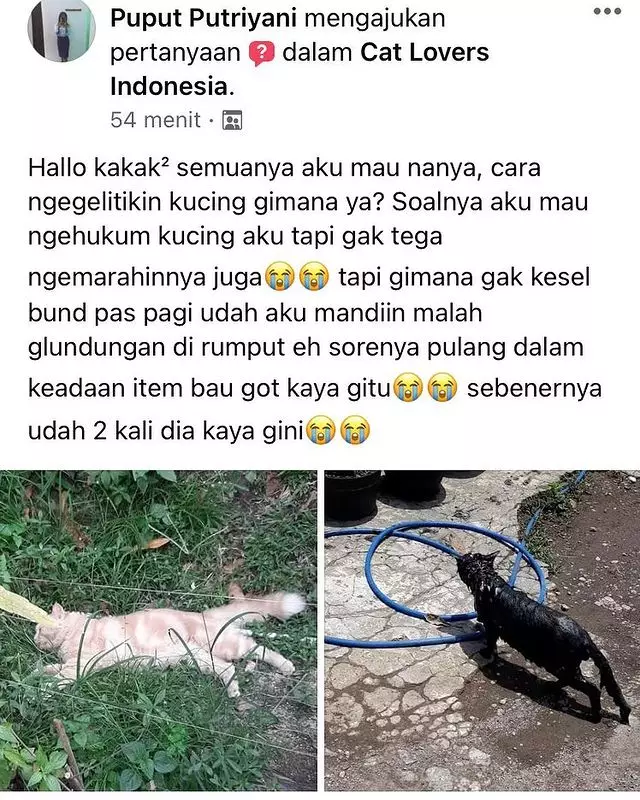status lucu fb hewan © 2021 Instagram status lucu fb hewan © 2021 Instagram