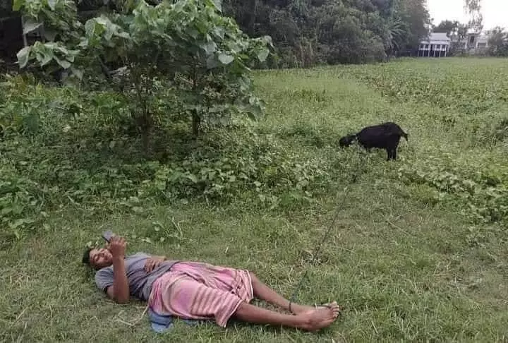 cara amankan hewan peliharaan yang kocak abis © 2021 instagram.com