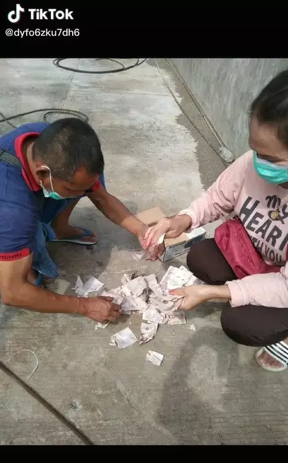 uang milik pria Thailand ini dimakan tikus © 2021 TikTok uang milik pria Thailand ini dimakan tikus © 2021 TikTok