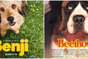 5 Film tentang persahabatan anjing dan manusia di Netflix, mengharukan
