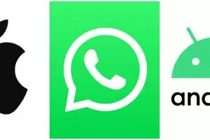 iPhone kini bisa transfer data WhatsApp ke Android, begini caranya