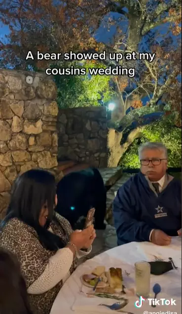 Viral kehadiran beruang di acara pernikahan TikTok