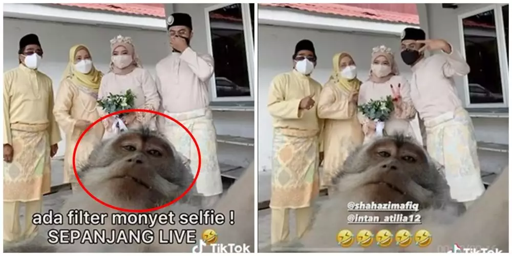 Momen nikah dengan filter monyet © TikTok Momen nikah dengan filter monyet © TikTok