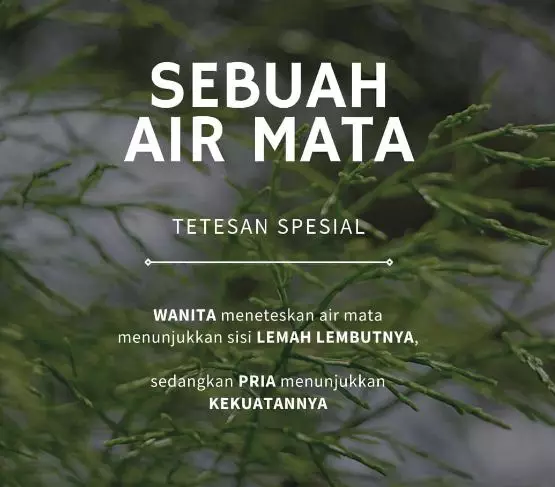 Kata-kata bijak tentang air mata © berbagai sumber