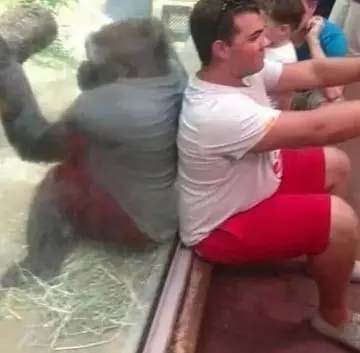 momen nyeleneh di background foto © 2021 instagram.com momen nyeleneh di background foto © 2021 instagram.com