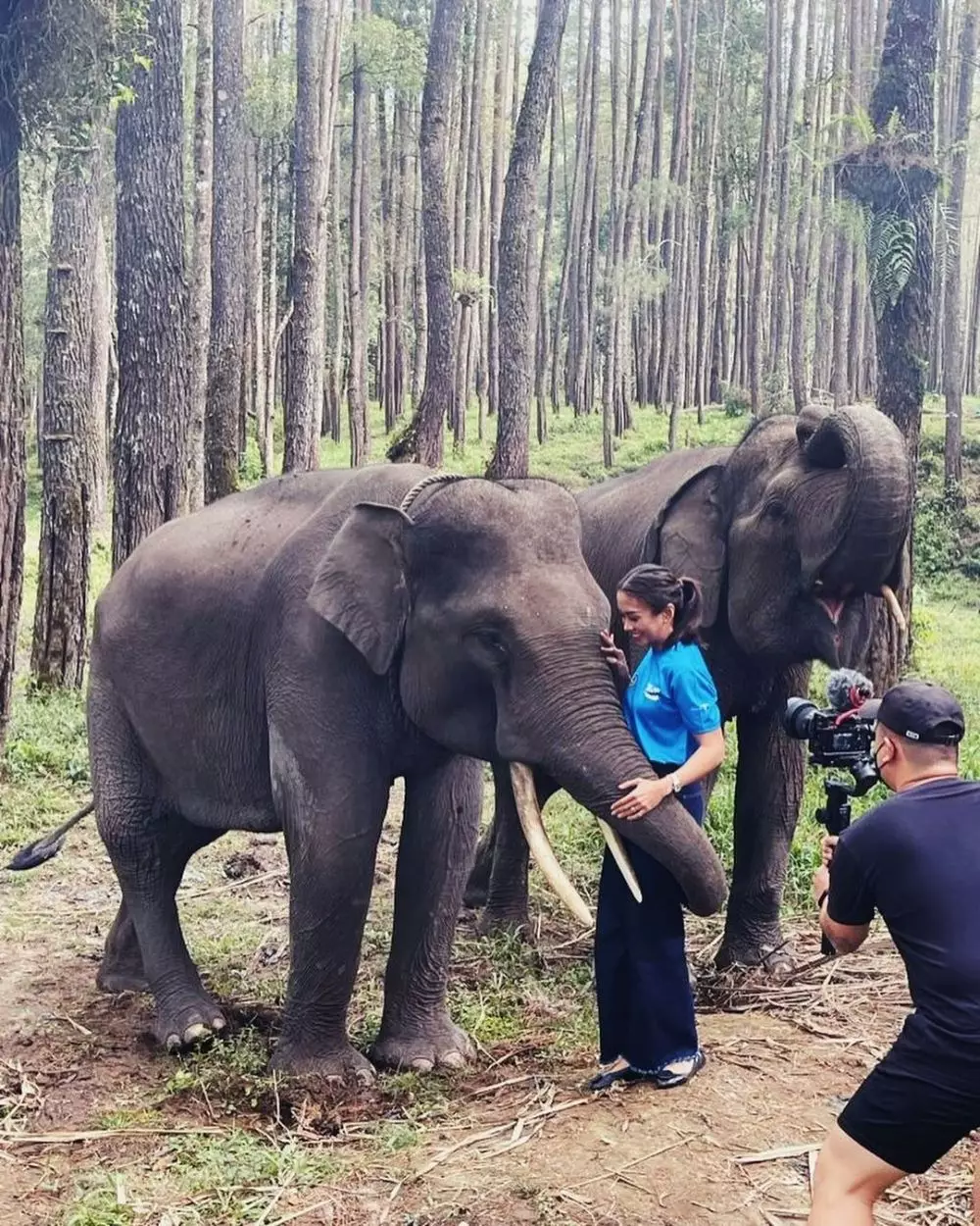 Tips taveling ala Melanie Putria Instagram