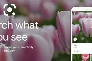 5 Tips pakai Google Lens jadi maksimal, bisa kerjakan tugas matematika