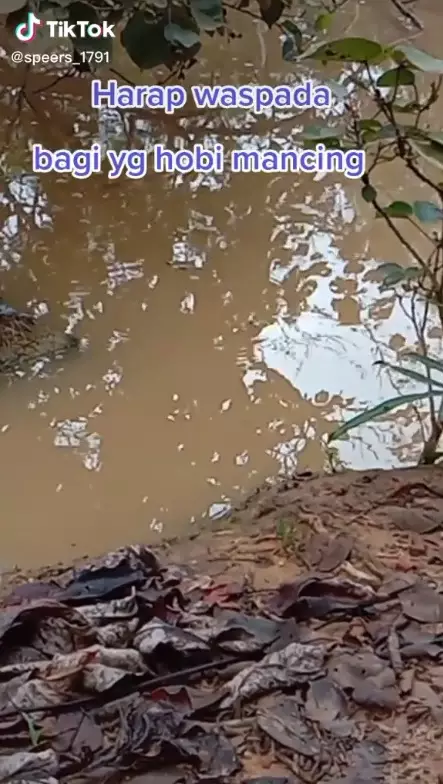 mancing di rawa hati hati © 2021 berbagai sumber