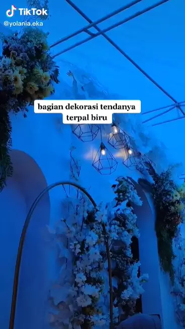 pelaminan dua sejoli ini malah mirip aquarium Instagram