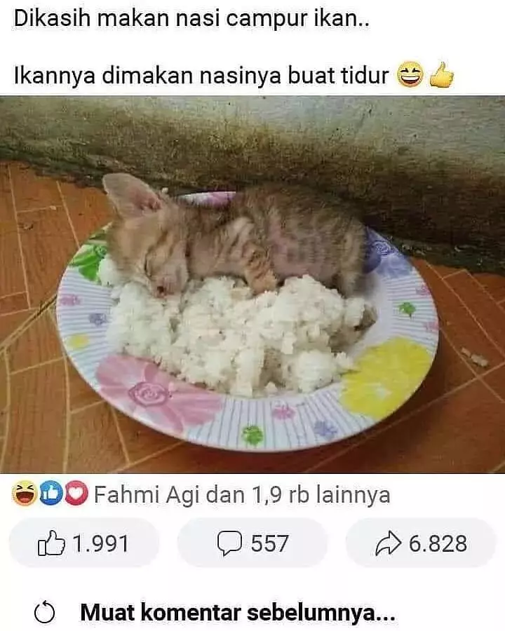 status lucu mau makan aja penuh lika-liku © 2021 instagram.com status lucu mau makan aja penuh lika-liku © 2021 instagram.com