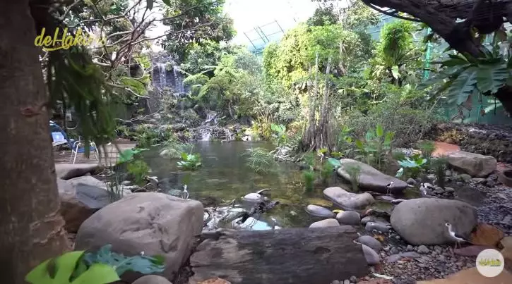 kandang burung irfan hakim © YouTube kandang burung irfan hakim © YouTube