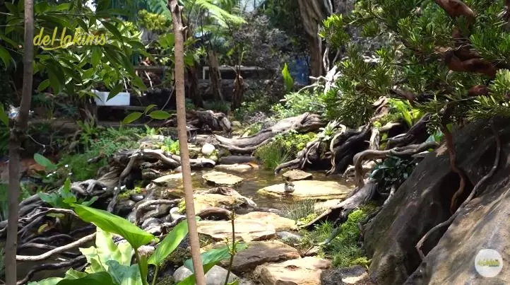 kandang burung irfan hakim © YouTube kandang burung irfan hakim © YouTube