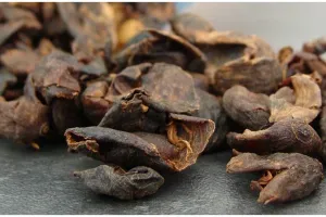 Bisa jadi pengganti kopi, ini 5 manfaat cascara untuk tubuh