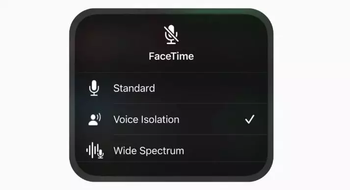 3 Fitur terbaru FaceTime © 2021 brilio.net