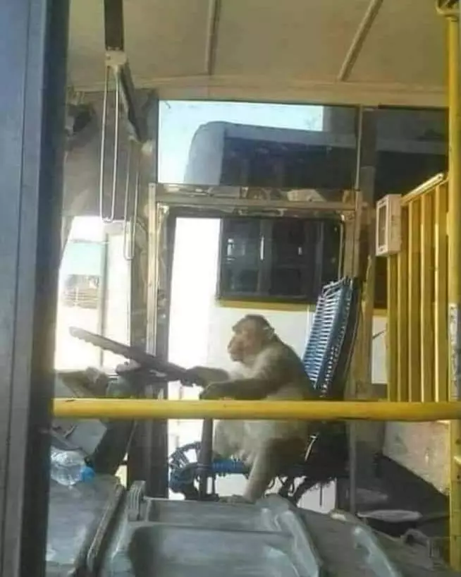 momen orang di bus umum yang nyeleneh © 2021 instagram.com