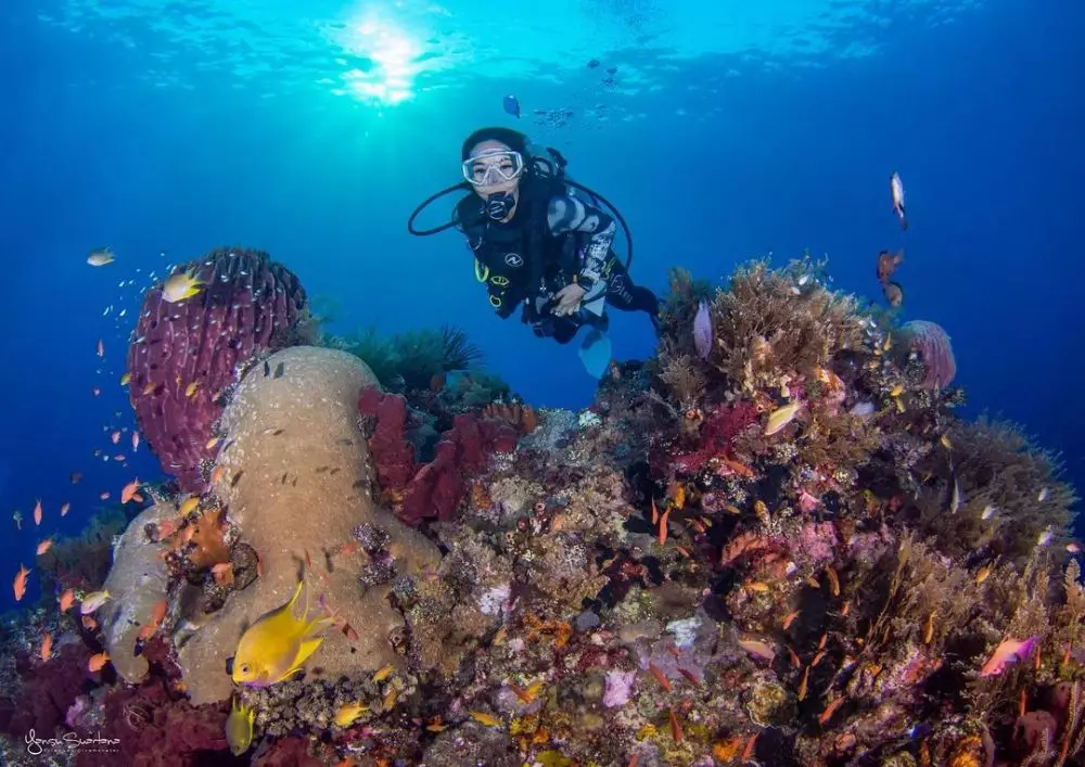 Potret Gisel Diving © 2021 Instagram Potret Gisel Diving © 2021 Instagram