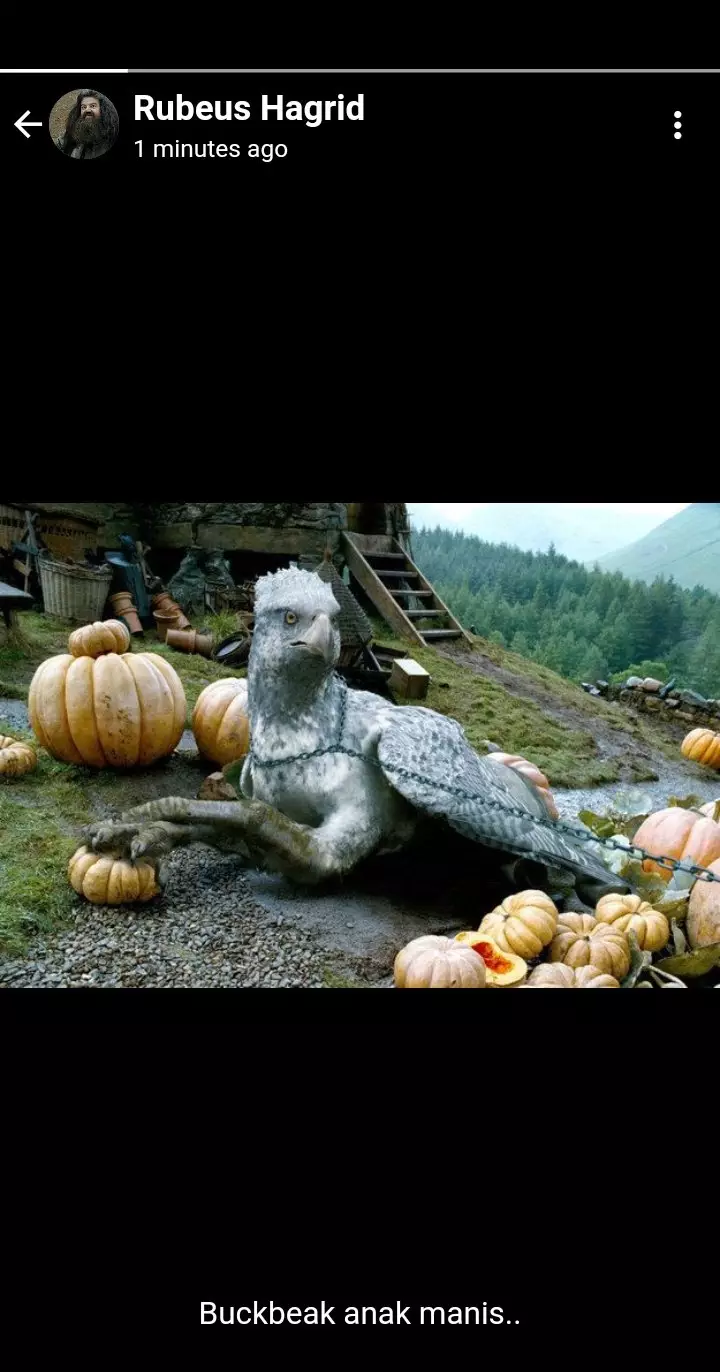  guru hogwarts bikin status © 2021 Twitter