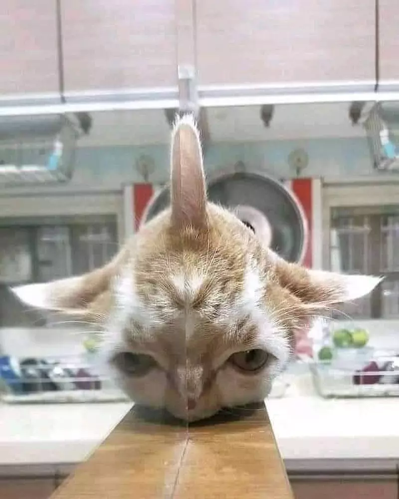 potret bingungin gara-gara cermin © 2021 instagram.com