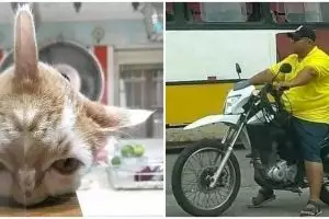 11 Momen lucu gara-gara cermin ini penampakannya bikin bingung