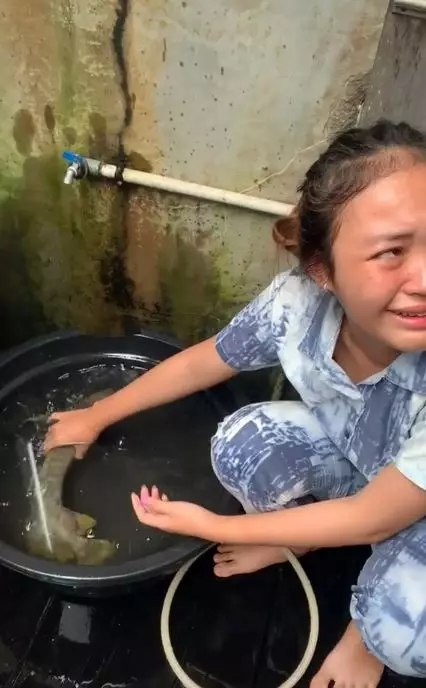 Ikan arwana mati setelah 17 tahun dipelihara TikTok