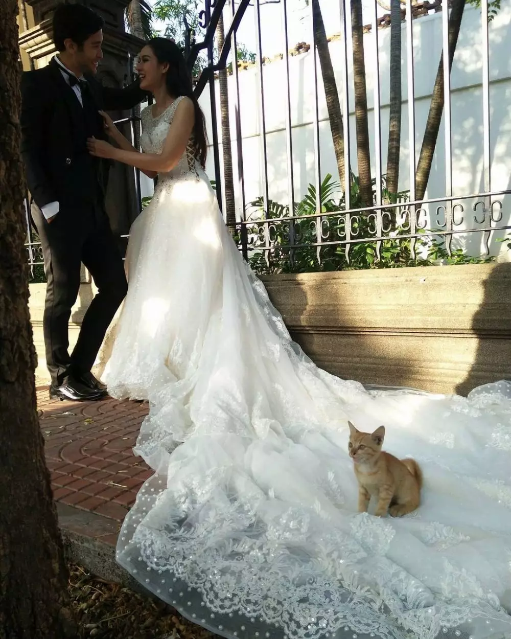 momen lucu mau foto romantis malah gagal © 2021 instagram.com momen lucu mau foto romantis malah gagal © 2021 instagram.com