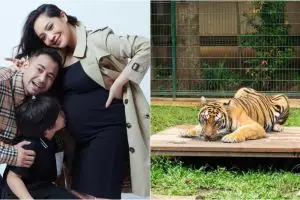 Potret rumah 7 seleb di Bandung, milik Alshad Ahmad ada koleksi satwa