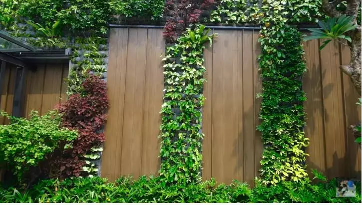 cara titi kamal tata halaman rumah © YouTube