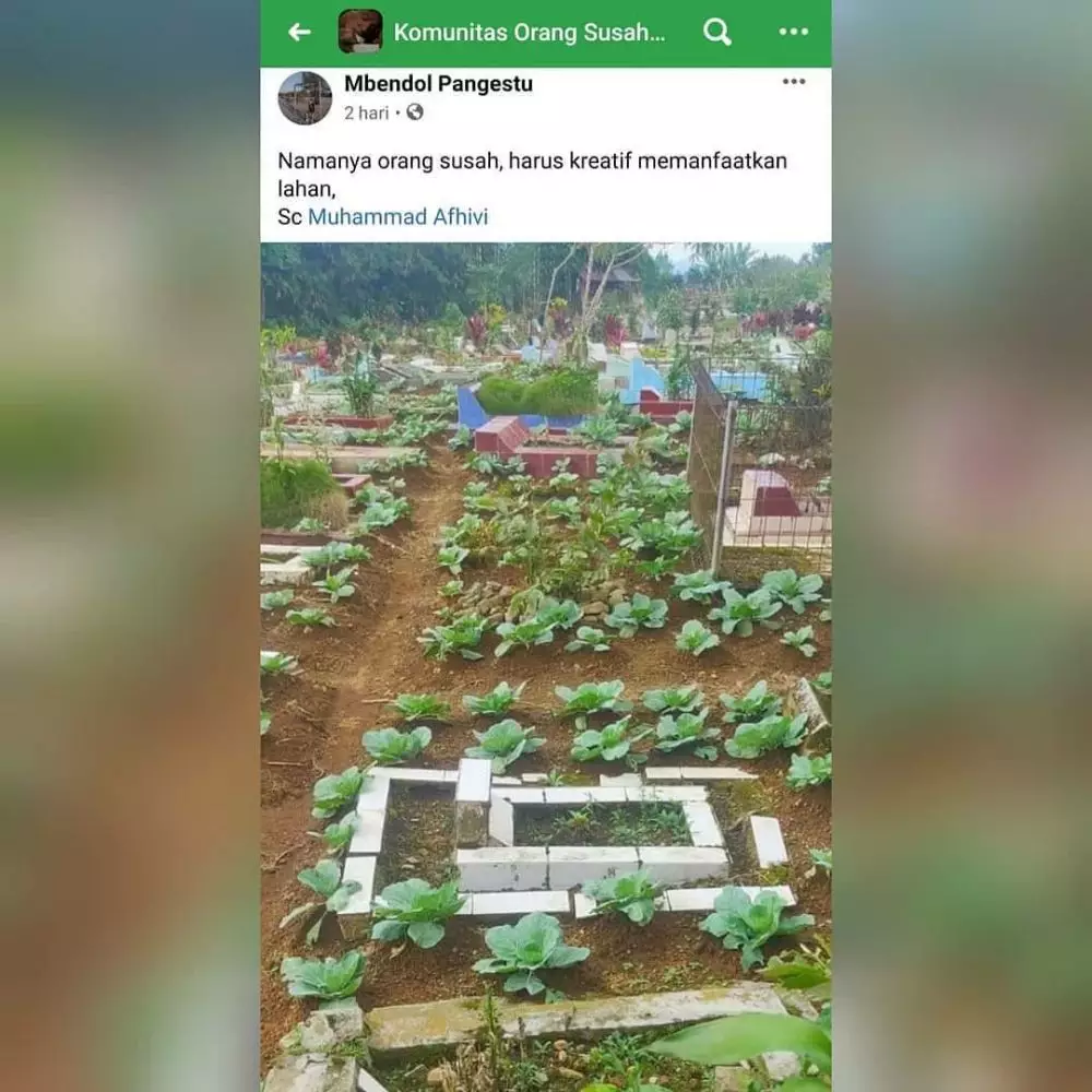 status facebook orang lagi iseng lucu © 2021 instagram.com status facebook orang lagi iseng lucu © 2021 instagram.com