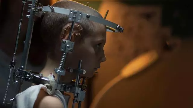 Fakta film Titane berbagai sumber