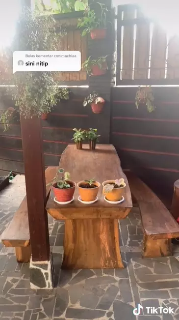 potret rumah kayu ini bikin melongo TikTok potret rumah kayu ini bikin melongo TikTok