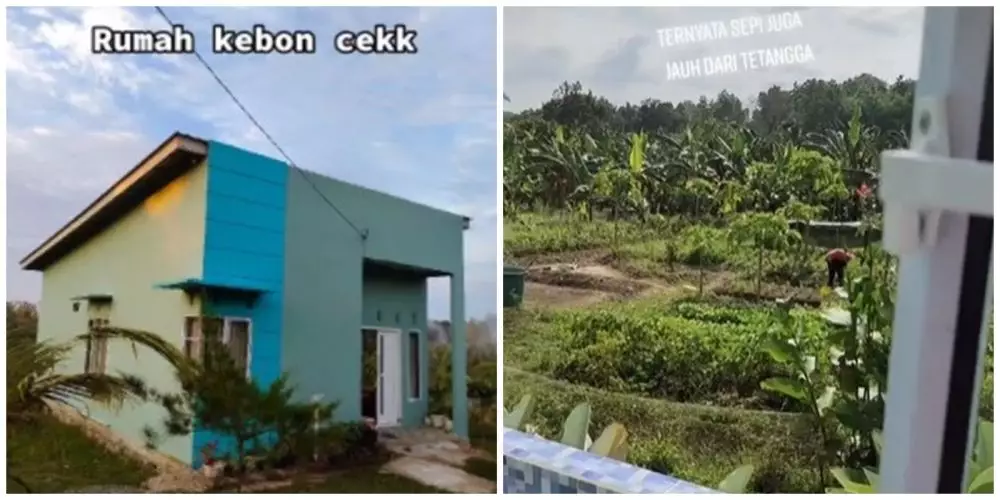 Potret rumah kebun © TikTok Potret rumah kebun © TikTok