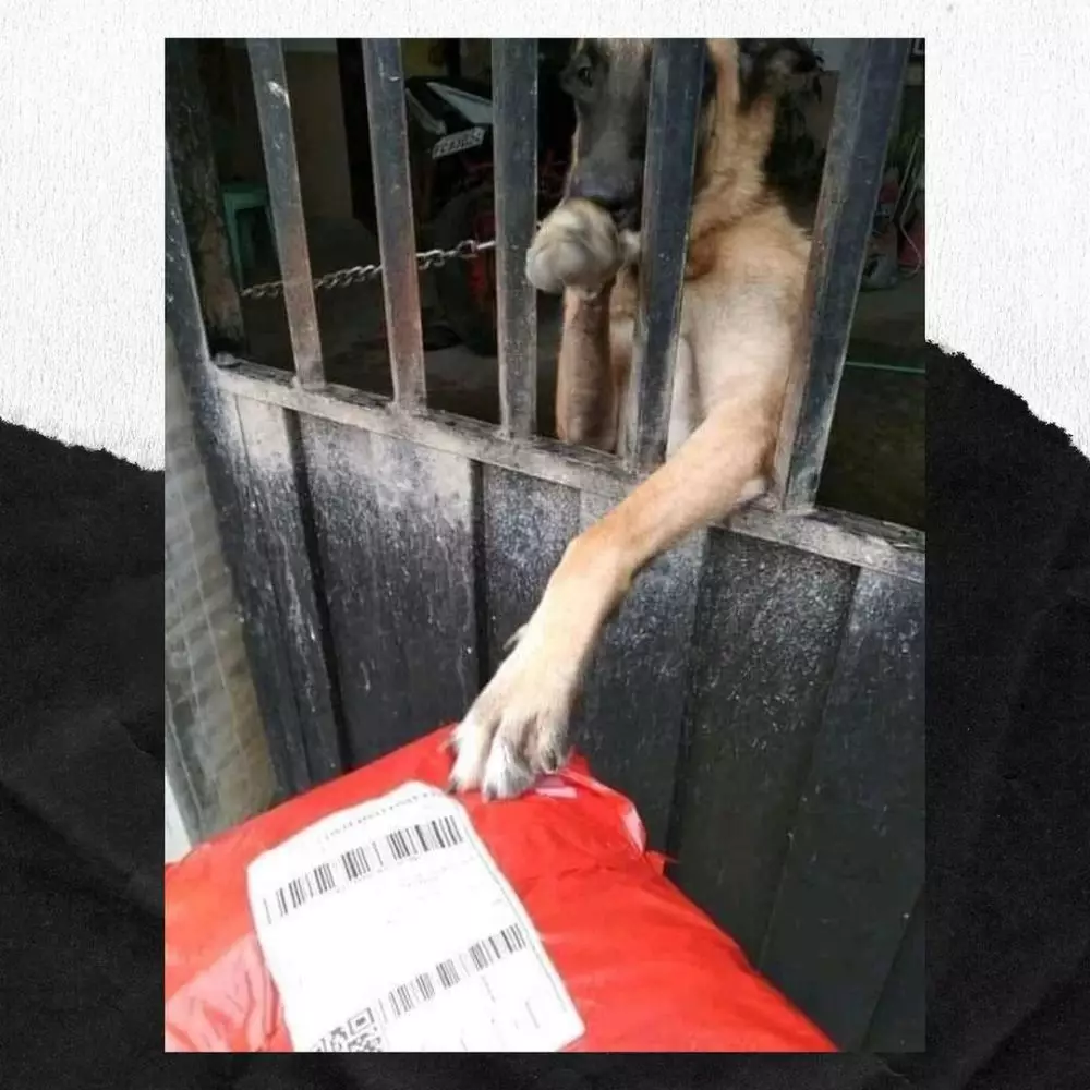 lika-liku jadi kurir paket ada-ada aja © 2021 instagram.com