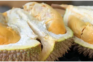 7 Cara simpel memilih durian berdaging tebal dan manis, antigagal