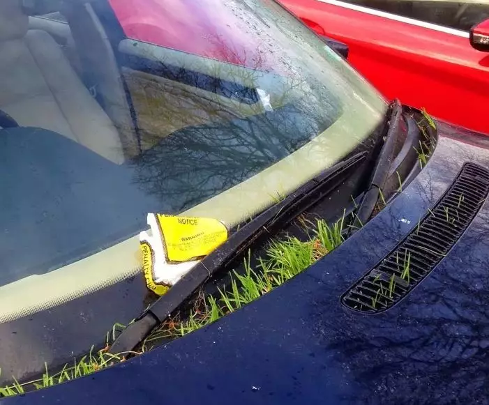 tanaman muncul tempat nggak biasa © 2021 Berbagai Sumber