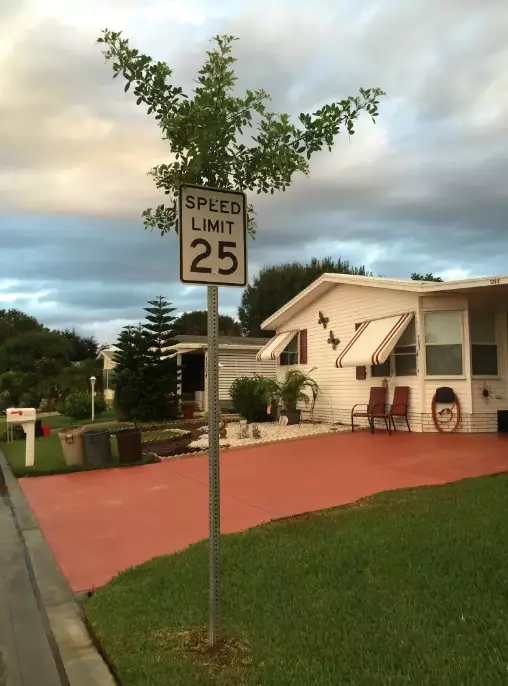 tanaman muncul tempat nggak biasa © 2021 Berbagai Sumber