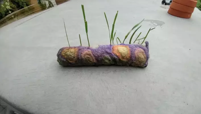 tanaman muncul tempat nggak biasa © 2021 Berbagai Sumber