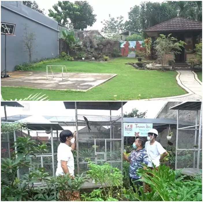 halaman belakang rumah komedian © 2021 berbagai sumber