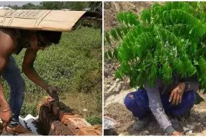 11 Aksi kocak kuli bangunan ogah kepanasan ini bikin tepuk jidat