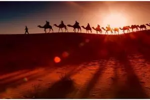 100 Quotes Ali bin Abi Thalib tentang kehidupan, penuh makna cocok jadi bahan renungan