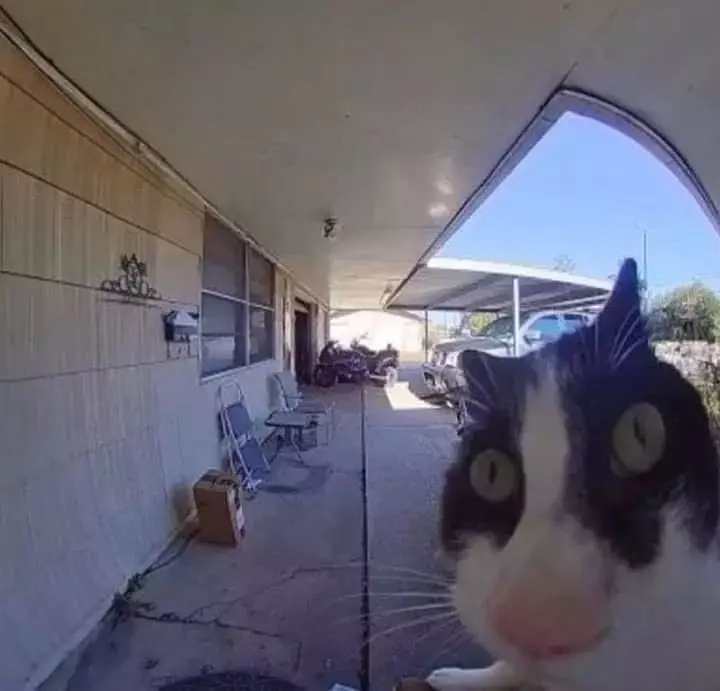 hewan waktu dipotret malah ngagetin © 2021 instagram.com hewan waktu dipotret malah ngagetin © 2021 instagram.com