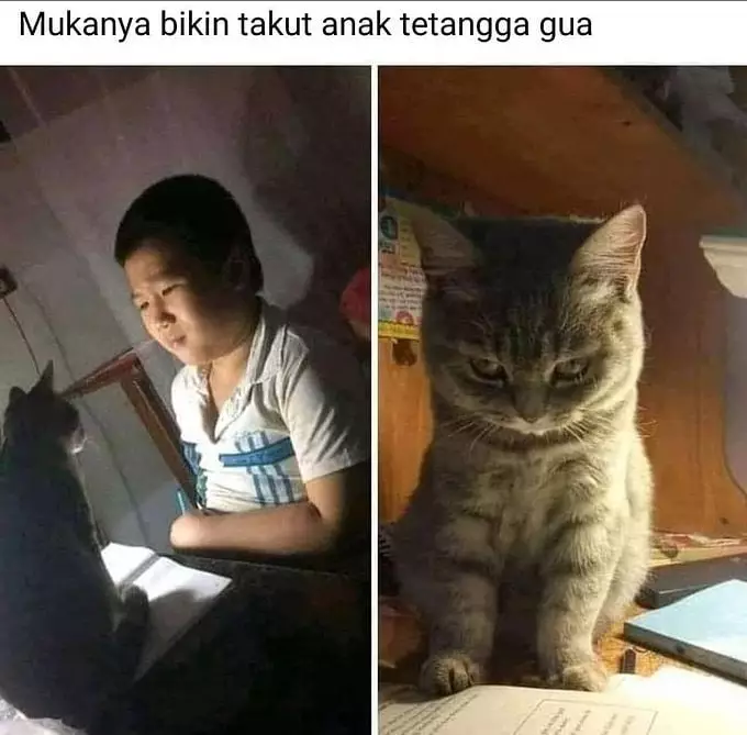 hewan waktu dipotret malah ngagetin © 2021 instagram.com hewan waktu dipotret malah ngagetin © 2021 instagram.com