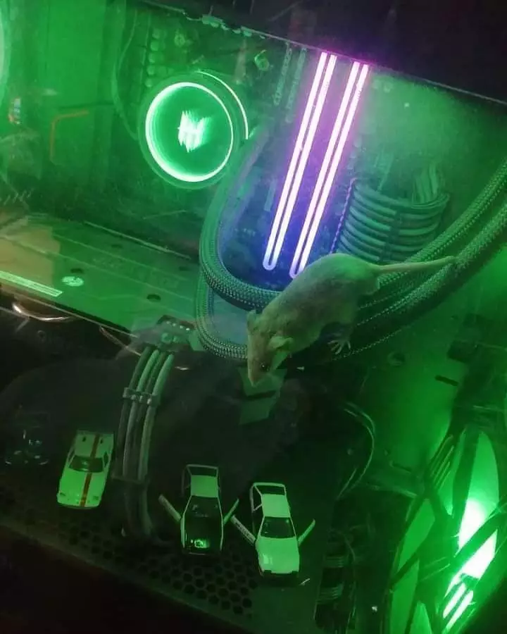 hewan waktu dipotret malah ngagetin © 2021 instagram.com hewan waktu dipotret malah ngagetin © 2021 instagram.com