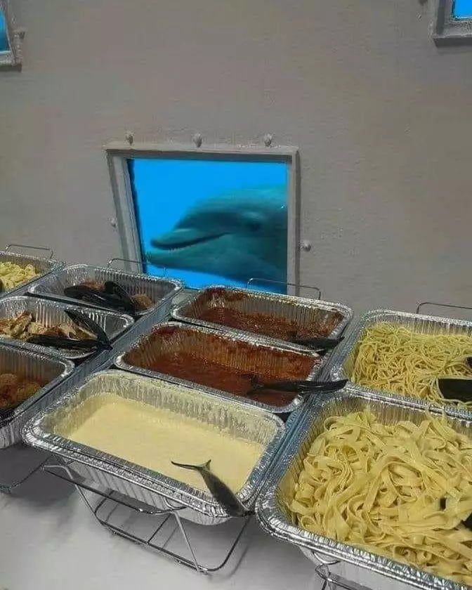 hewan waktu dipotret malah ngagetin © 2021 instagram.com hewan waktu dipotret malah ngagetin © 2021 instagram.com