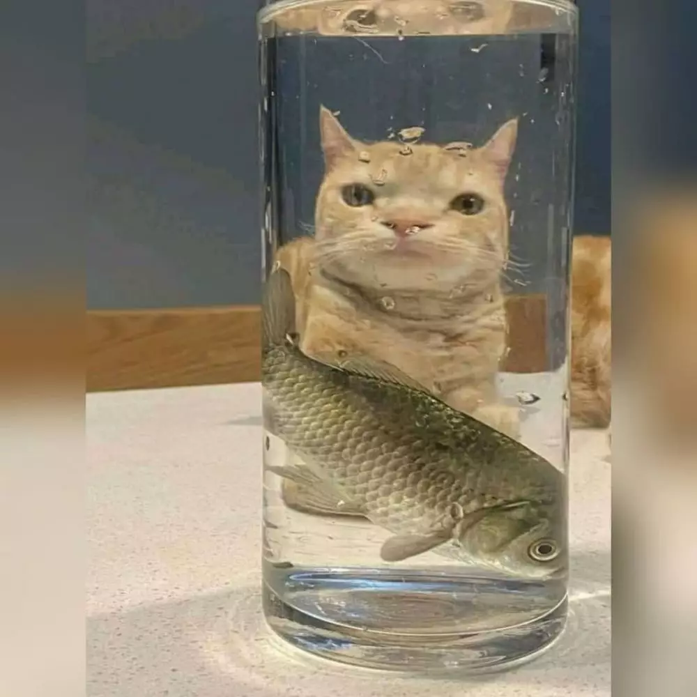 hewan waktu dipotret malah ngagetin © 2021 instagram.com hewan waktu dipotret malah ngagetin © 2021 instagram.com