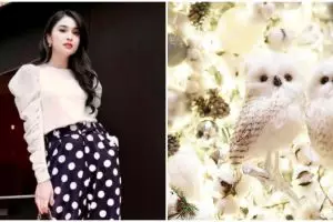 Sandra Dewi dekorasi rumahnya bertema white christmas, ini 9 potretnya