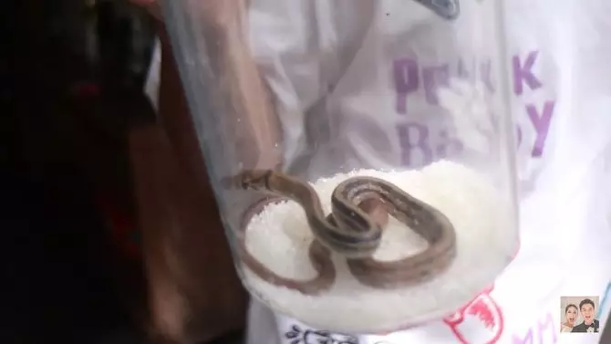 ular di rumah Baim Wong © 2021 brilio.net