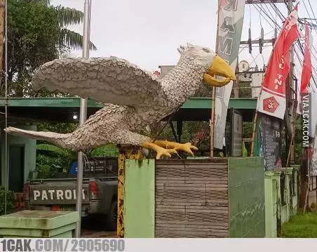 potret lucu burung antimainstream © 2021 berbagai sumber