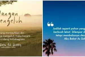 103 Motto hidup para sahabat Nabi, motivasi untuk memperbaiki diri